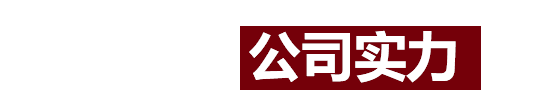 公司優(yōu)勢